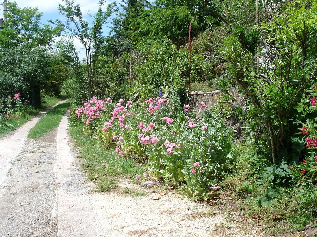 Bed and Breakfast La Colline Bleue Banne Exterior foto